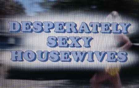 UKRESISTANCE WE BOUGHT "DESPERATELY SEXY HOUSEWIVES" ON PSP 