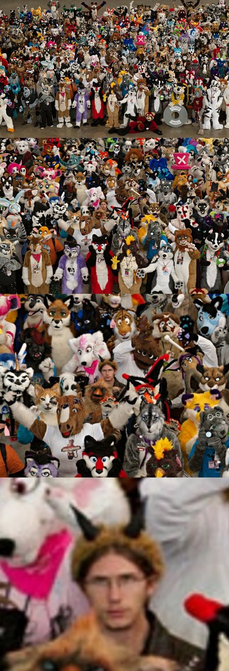 furry sonicrage