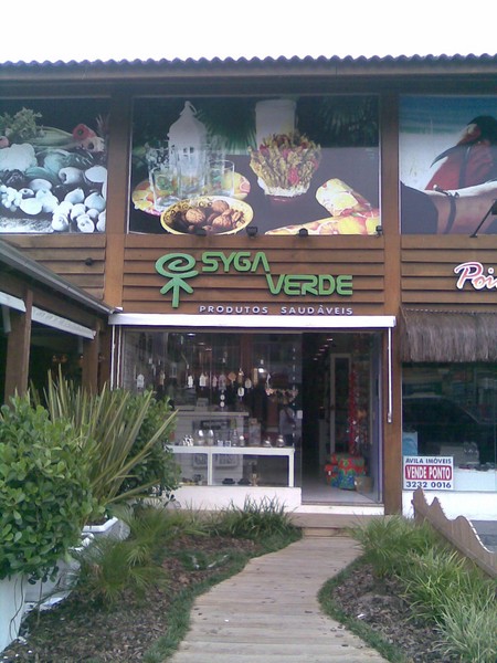 syga-verde-2